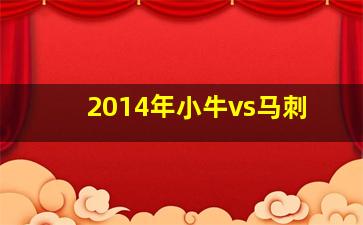 2014年小牛vs马刺