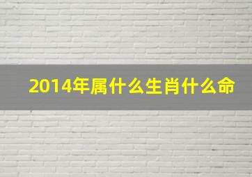 2014年属什么生肖什么命