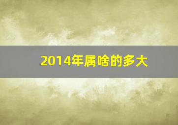 2014年属啥的多大