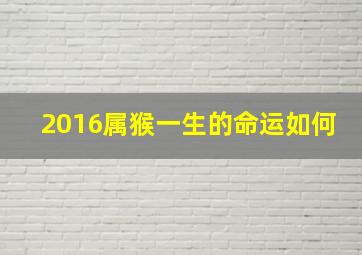 2016属猴一生的命运如何