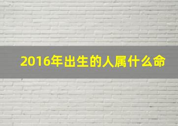 2016年出生的人属什么命