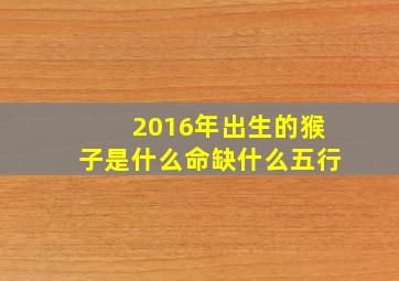 2016年出生的猴子是什么命缺什么五行