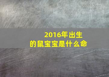 2016年出生的鼠宝宝是什么命