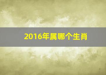 2016年属哪个生肖