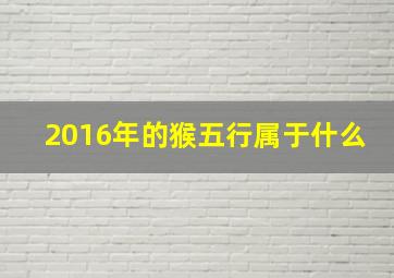 2016年的猴五行属于什么