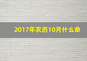 2017年农历10月什么命