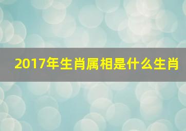 2017年生肖属相是什么生肖