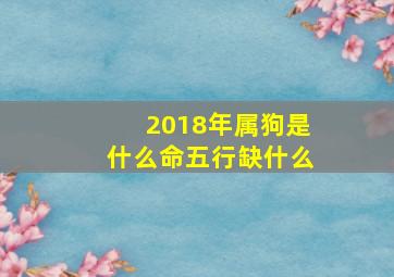 2018年属狗是什么命五行缺什么