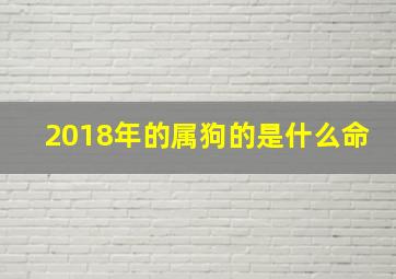 2018年的属狗的是什么命