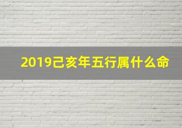 2019己亥年五行属什么命