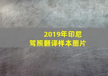 2019年印尼驾照翻译样本图片