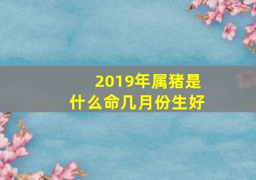 2019年属猪是什么命几月份生好