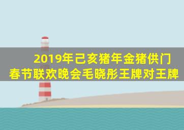 2019年己亥猪年金猪供门春节联欢晚会毛晓彤王牌对王牌