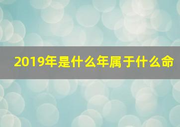 2019年是什么年属于什么命