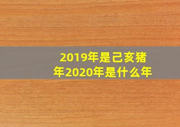 2019年是己亥猪年2020年是什么年