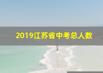 2019江苏省中考总人数