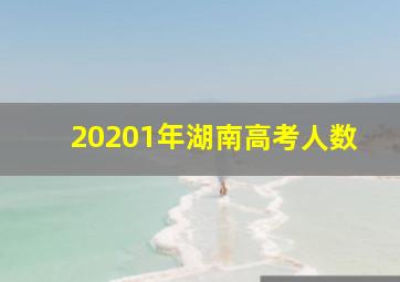 20201年湖南高考人数