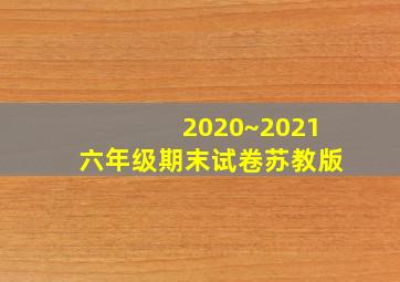 2020~2021六年级期末试卷苏教版