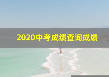 2020中考成绩查询成绩