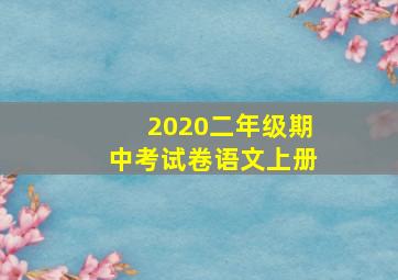 2020二年级期中考试卷语文上册