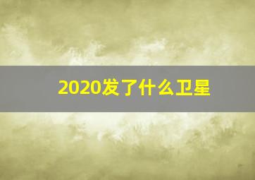 2020发了什么卫星