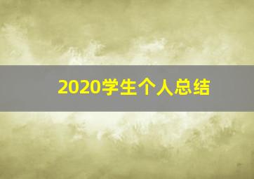 2020学生个人总结