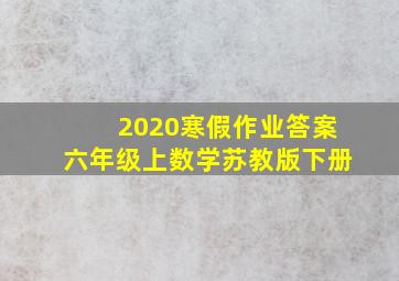 2020寒假作业答案六年级上数学苏教版下册