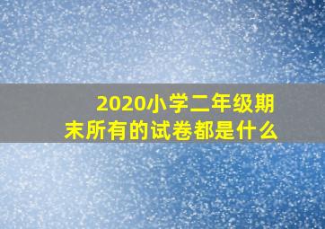 2020小学二年级期末所有的试卷都是什么