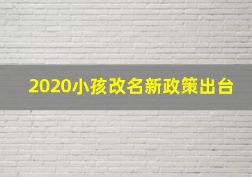 2020小孩改名新政策出台