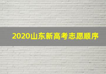 2020山东新高考志愿顺序