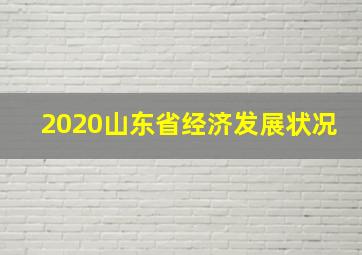 2020山东省经济发展状况