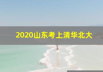 2020山东考上清华北大