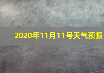 2020年11月11号天气预报