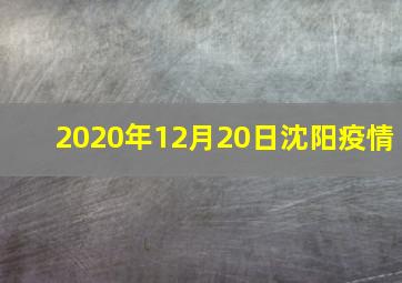 2020年12月20日沈阳疫情