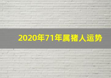 2020年71年属猪人运势