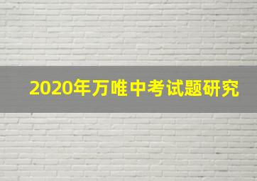 2020年万唯中考试题研究