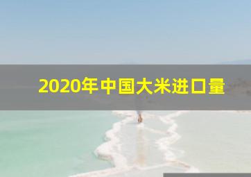 2020年中国大米进口量