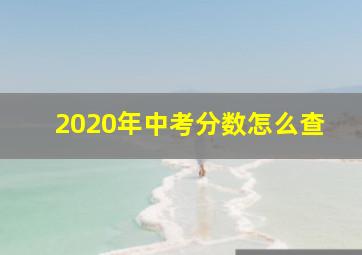 2020年中考分数怎么查