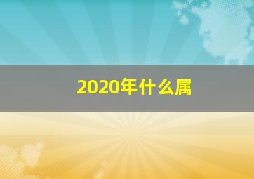 2020年什么属