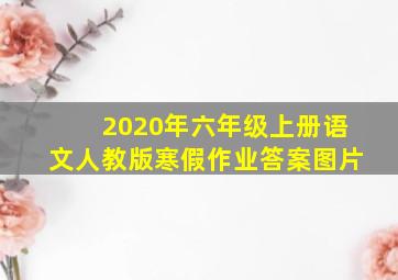 2020年六年级上册语文人教版寒假作业答案图片