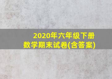 2020年六年级下册数学期末试卷(含答案)