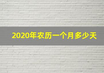 2020年农历一个月多少天