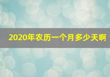 2020年农历一个月多少天啊