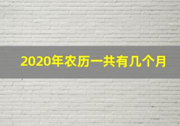 2020年农历一共有几个月