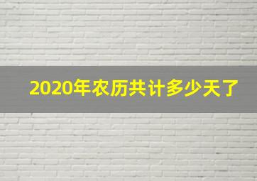 2020年农历共计多少天了