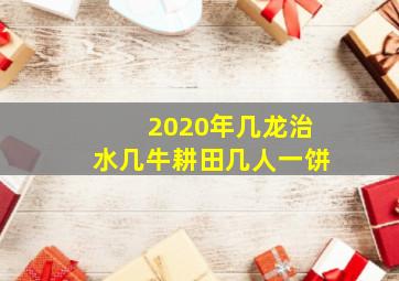 2020年几龙治水几牛耕田几人一饼