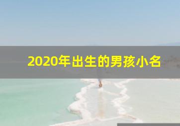 2020年出生的男孩小名