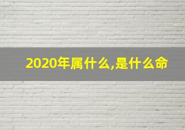 2020年属什么,是什么命