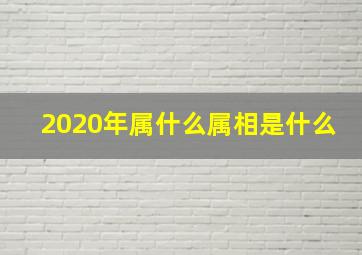 2020年属什么属相是什么