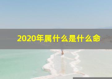 2020年属什么是什么命